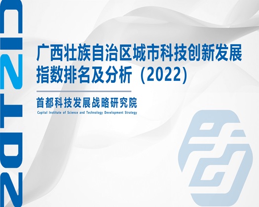 干骚屄电影【成果发布】广西壮族自治区城市科技创新发展指数排名及分析（2022）